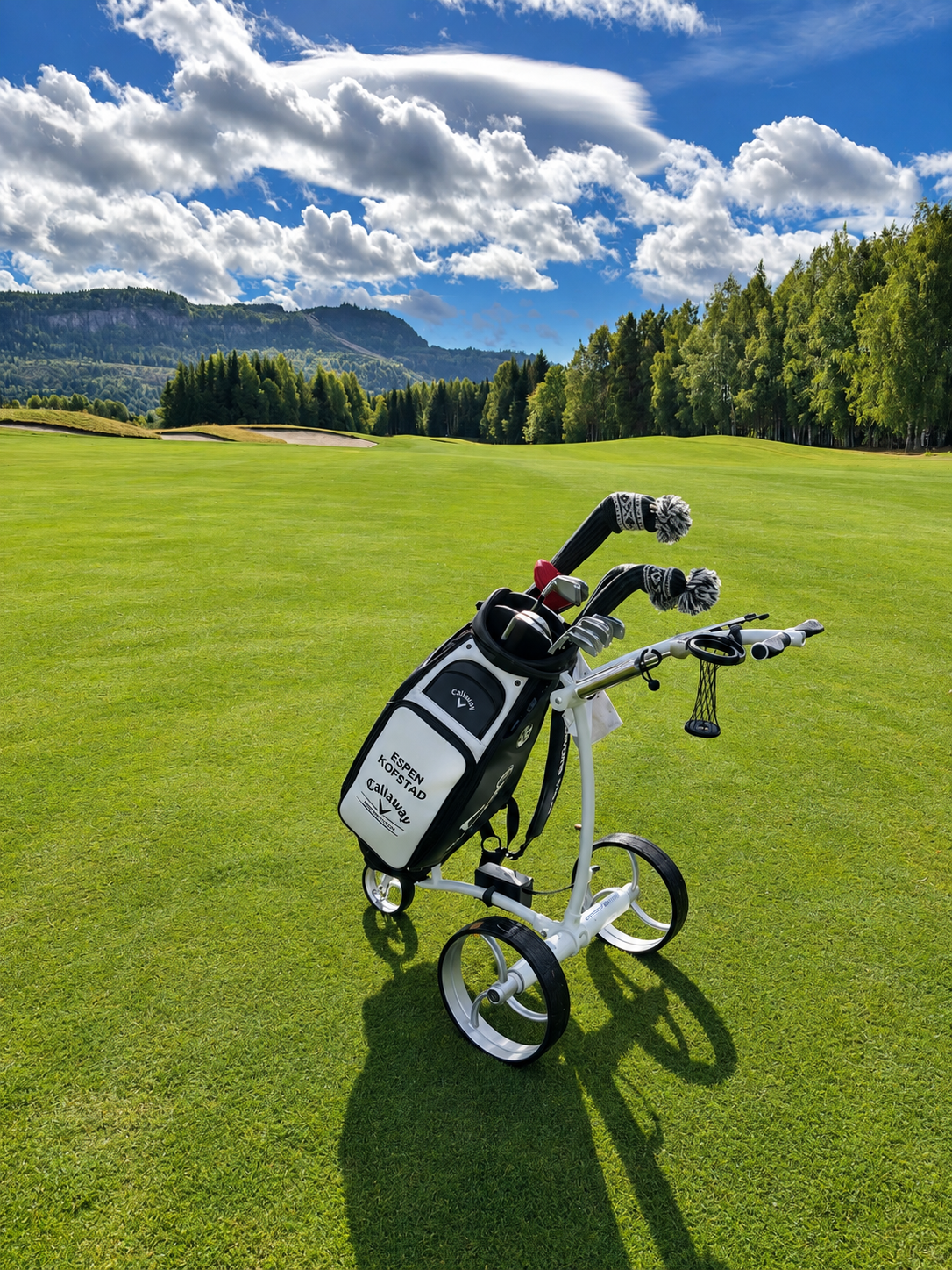 Birdie1 Hvit 2026 Elektrisk golftralle med motorbrems og lithiumbatteri