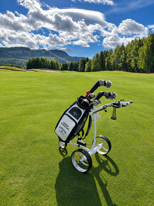 Birdie1 Hvit 2026 Elektrisk golftralle med motorbrems og lithiumbatteri